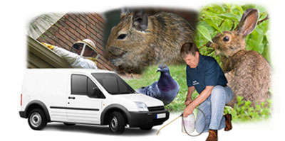 Leeds local van